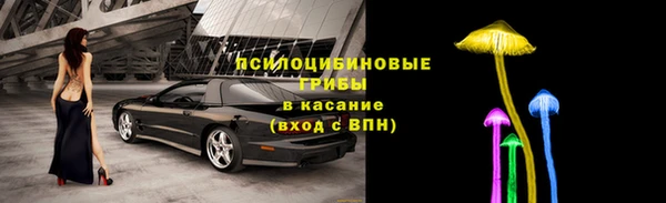 МДПВ Арсеньев