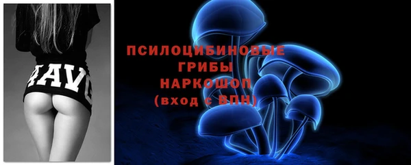 соль ск Аркадак