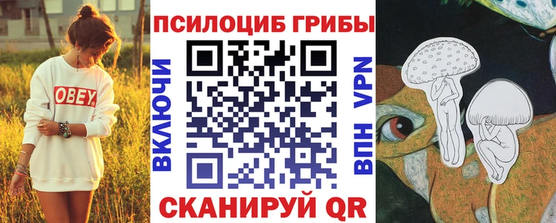 Псилоцибиновые грибы Cubensis  Безенчук 